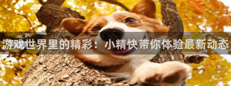 长征娱乐注册：游戏世界里的精彩：小精快带你体验最新动态