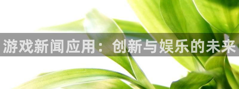 长征娱乐的意思