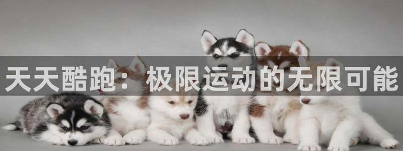长征娱乐登录网址：天天酷跑：极限运动的无限可能