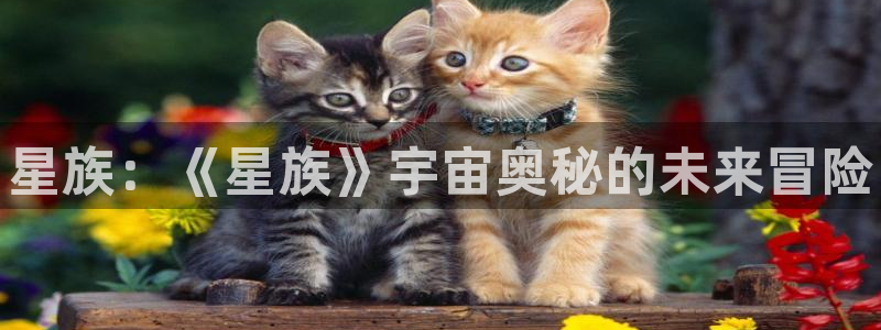 长征娱乐app：星族：《星族》宇宙奥秘的未来冒险