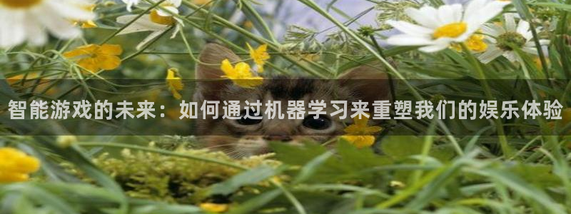 长征娱乐网址官网：智能游戏的未来：如何通过机器学习来重塑我们