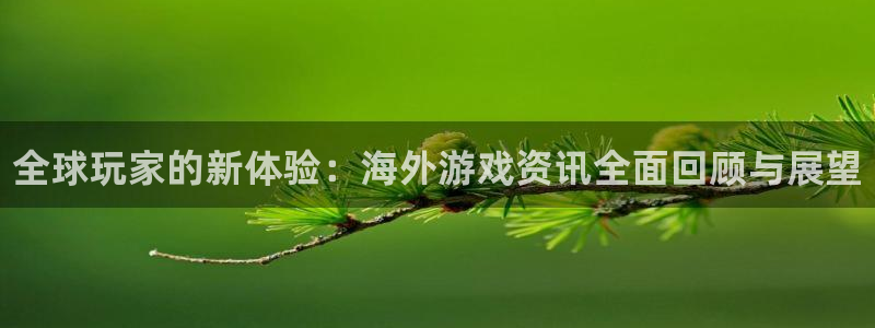 长征娱乐登陆地址：全球玩家的新体验：海外游戏资讯全面回顾与展