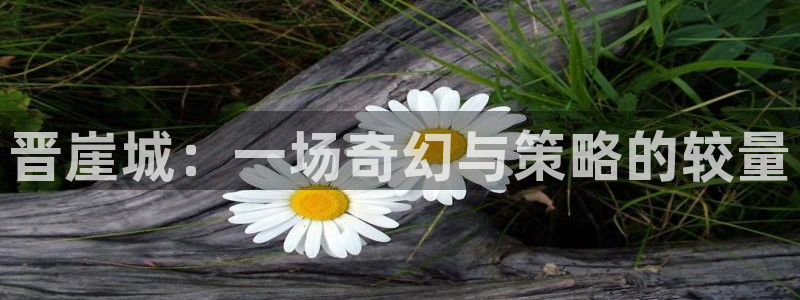 长征娱乐app下载地址：晋崖城：一场奇幻与策略的较量