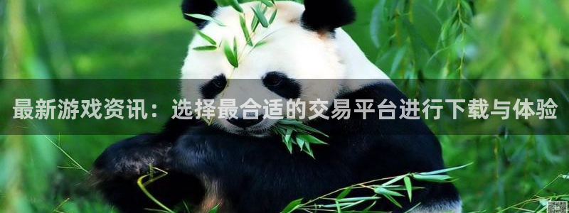 长征娱乐官网网页入口网址：最新游戏资讯：选择最合适的交易平台