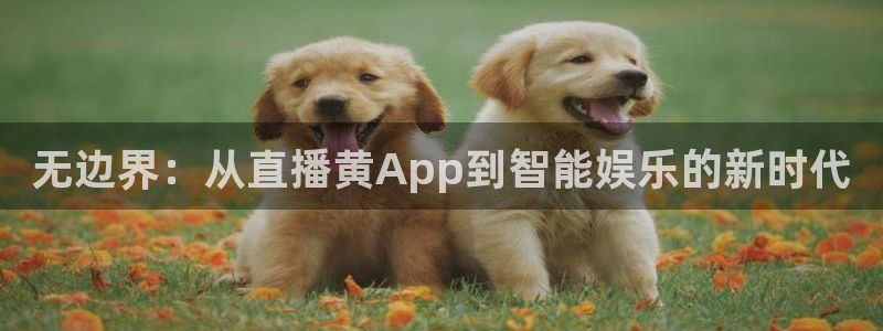雨燕体育赛事在线免费直播