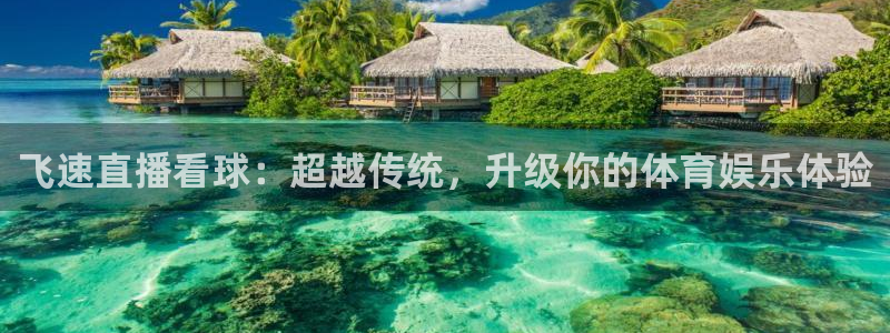 nba雨燕直播体育