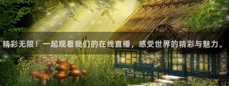 雨燕360体育直播免费