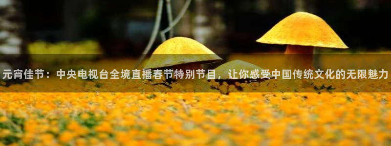 新雨燕足球直播