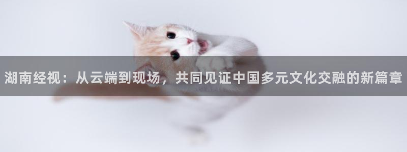 178足球直播雨燕：湖南经视：从云端到现场，共同见证中国多元文化交融的新篇章