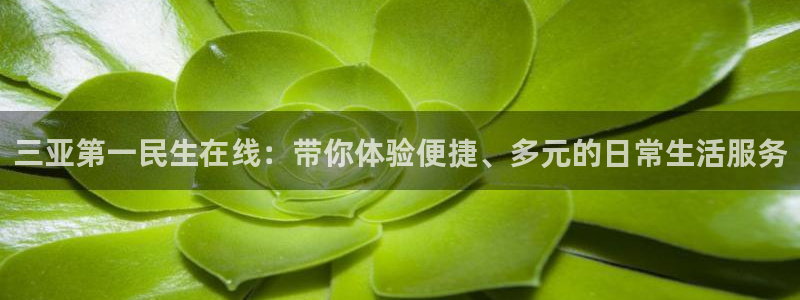 360雨燕足球直播：三亚第一民生在线：带你体验便捷、多元的日常生活服务