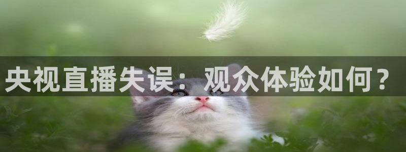雨燕足球直播雨燕：央视直播失误：观众体验如何？
