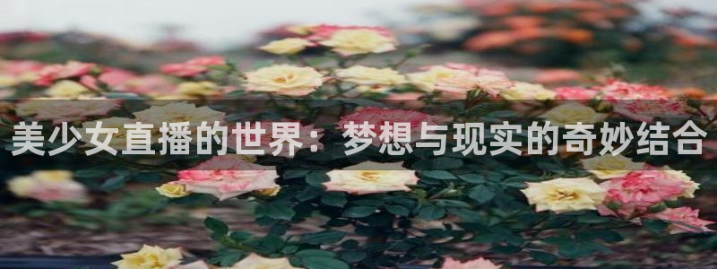 雨燕足球直播免费直播：美少女直播的世界：梦想与现实的奇妙结合