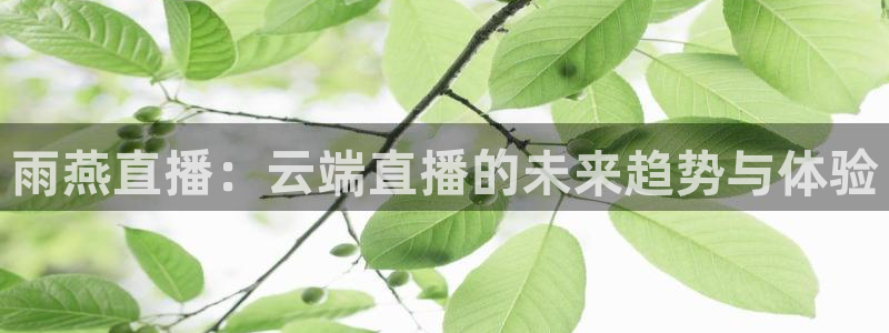 雨燕nba免费直播在线直播：雨燕直播：云端直播的未来趋势与体验