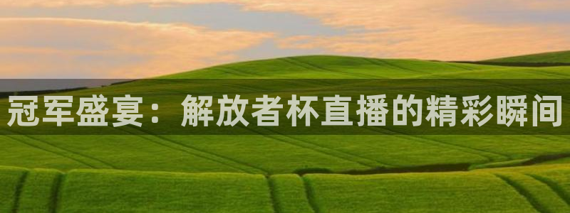 nba雨燕体育直播在哪看：冠军盛宴：解放者杯直播的精彩瞬间