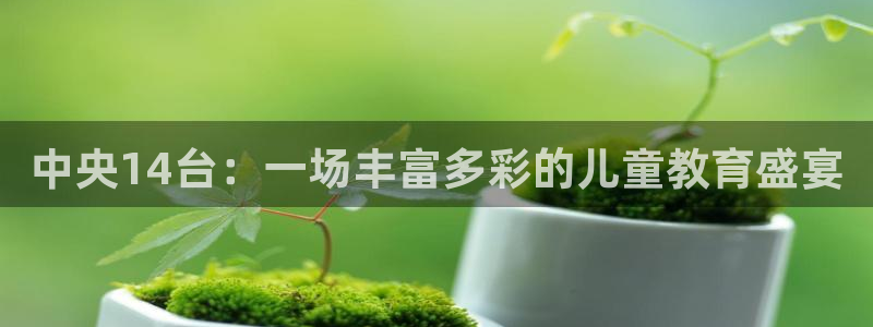 足球直播免费雨燕：中央14台：一场丰富多彩的儿童教育盛宴